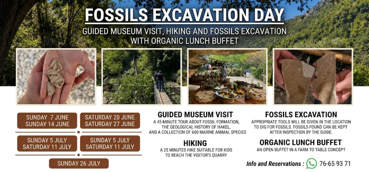 Fossils Excavation Day