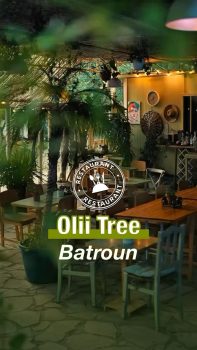 Olii Tree, Batroun